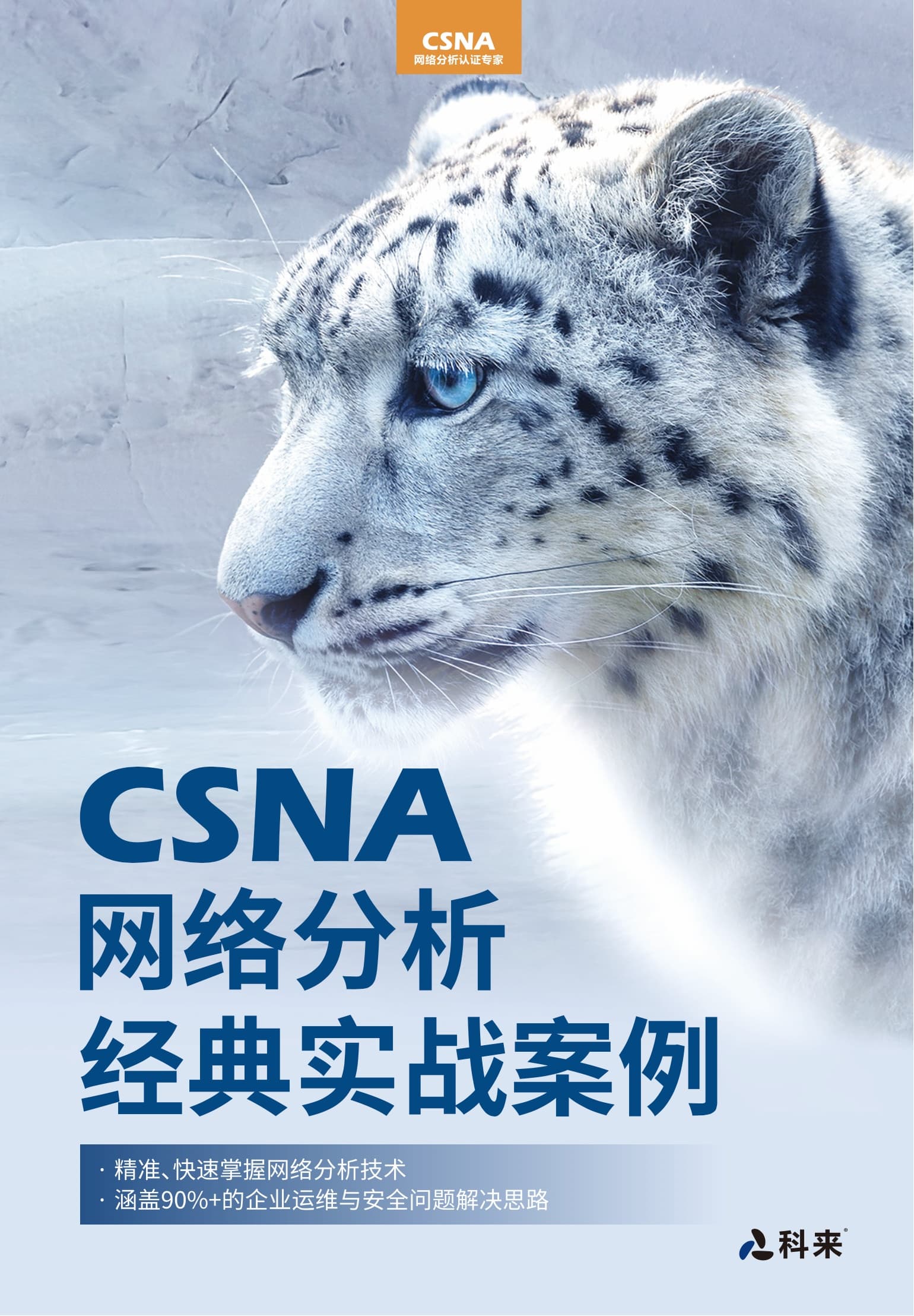 《CSNA网络分析经典实战案例》